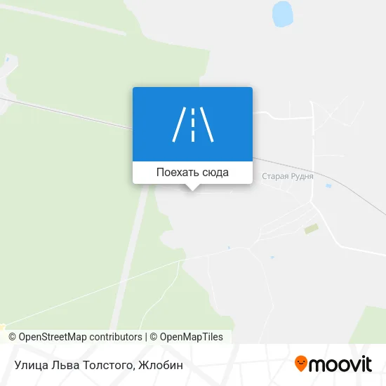 Карта Улица Льва Толстого