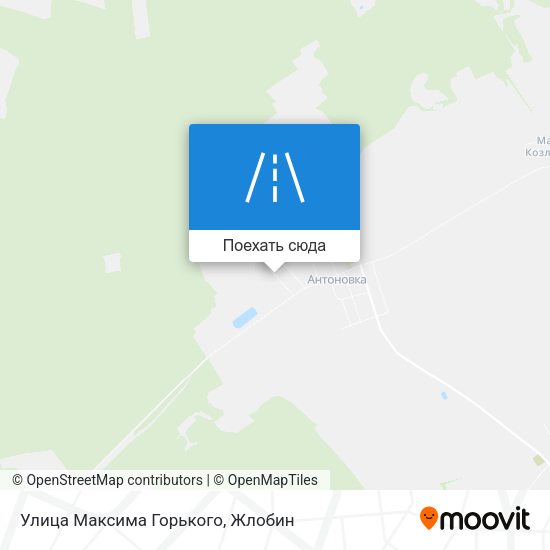 Карта Улица Максима Горького