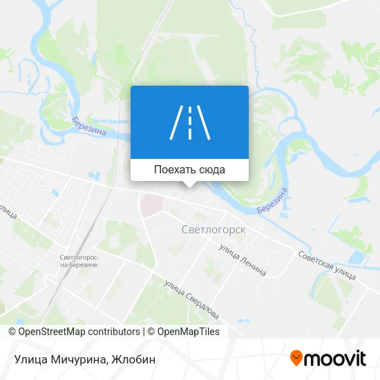 Карта Улица Мичурина