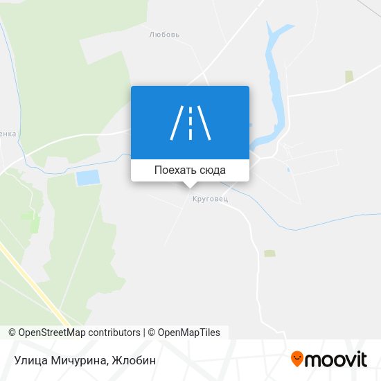Карта Улица Мичурина