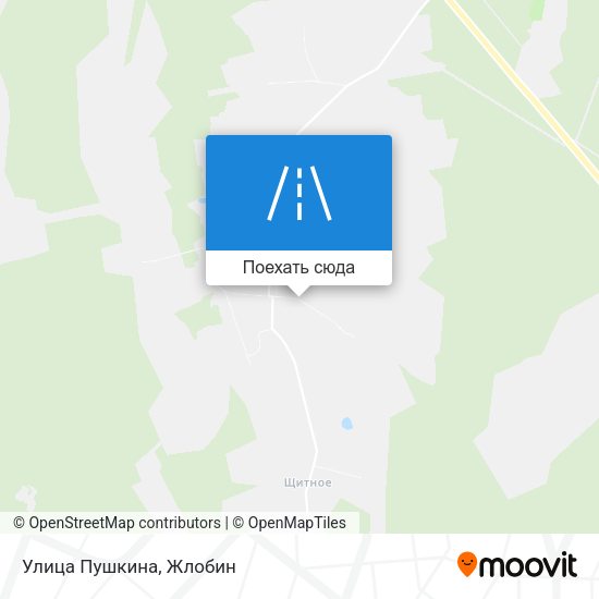 Карта Улица Пушкина