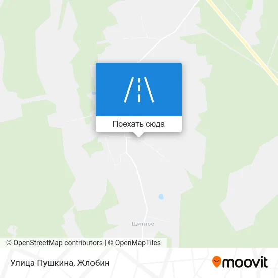 Карта Улица Пушкина