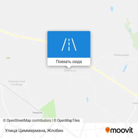 Карта Улица Циммермана