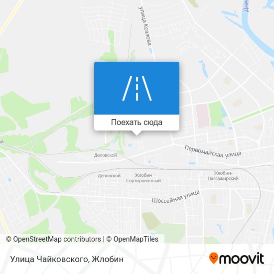Карта Улица Чайковского