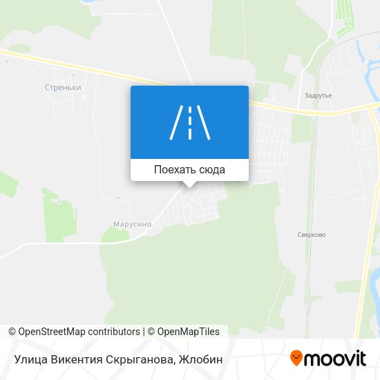 Карта Улица Викентия Скрыганова