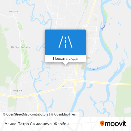Карта Улица Петра Смидовича