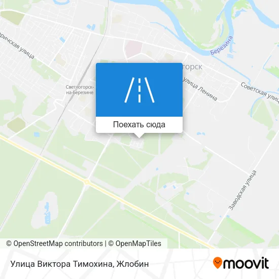 Карта Улица Виктора Тимохина