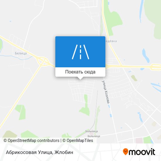 Карта Абрикосовая Улица