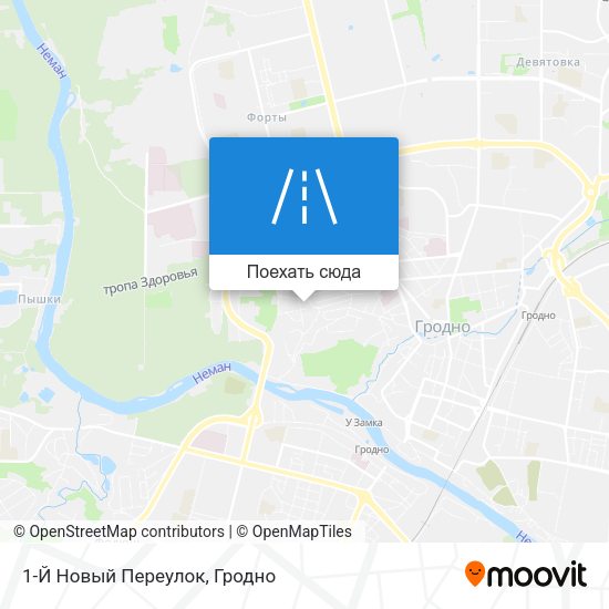 Карта 1-Й Новый Переулок
