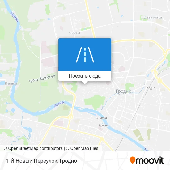 Карта 1-Й Новый Переулок
