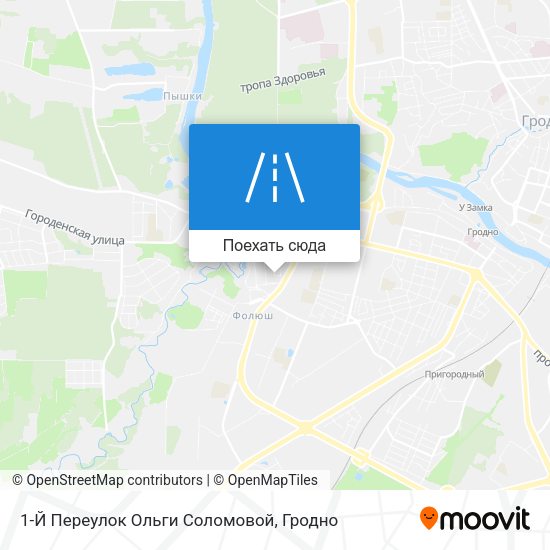 Карта 1-Й Переулок Ольги Соломовой