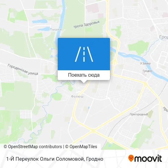 Карта 1-Й Переулок Ольги Соломовой