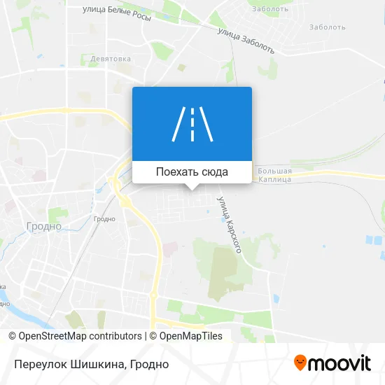 Карта Переулок Шишкина