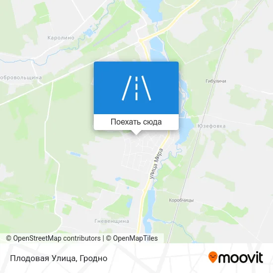Карта Плодовая Улица