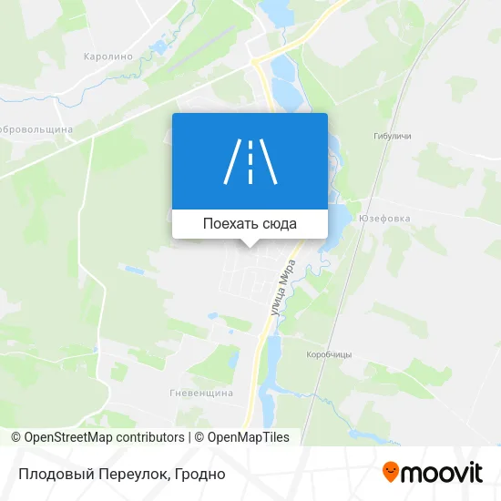 Карта Плодовый Переулок