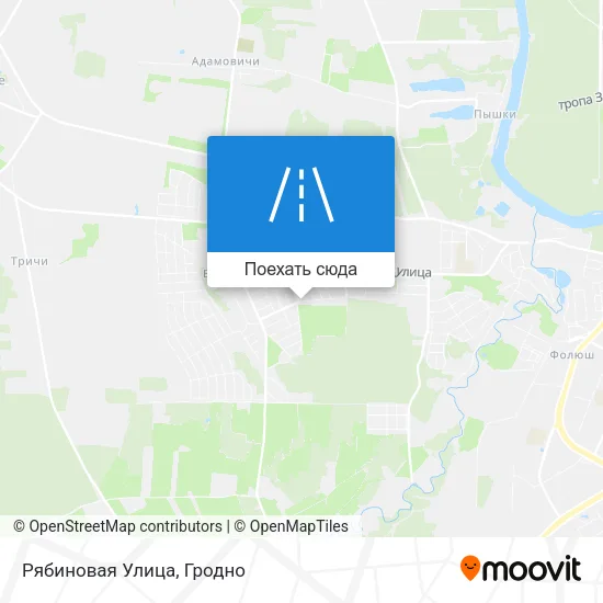 Карта Рябиновая Улица