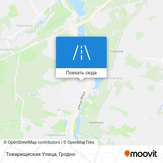 Карта Товарищеская Улица