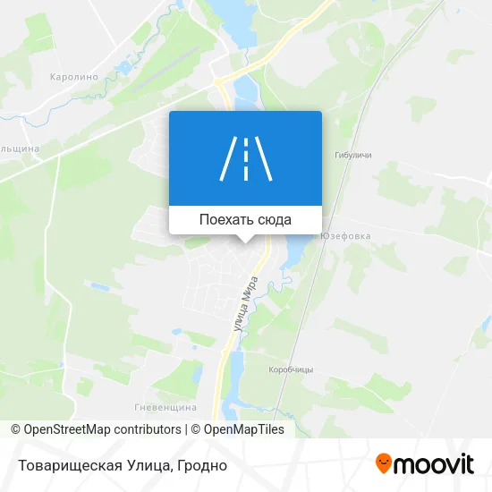 Карта Товарищеская Улица