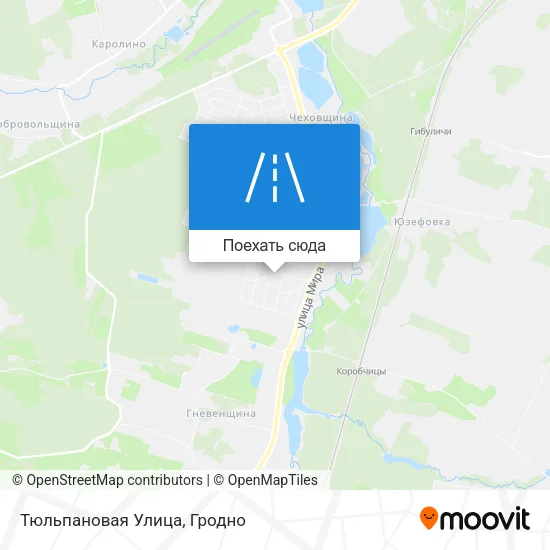 Карта Тюльпановая Улица