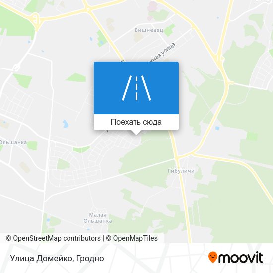 Карта Улица Домейко