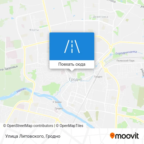 Карта Улица Литовского