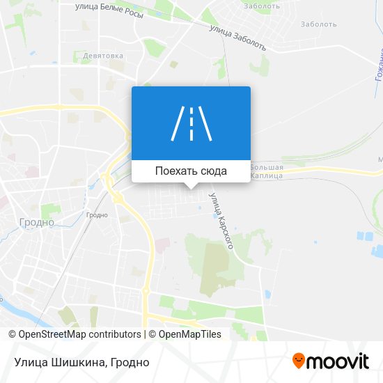 Карта Улица Шишкина