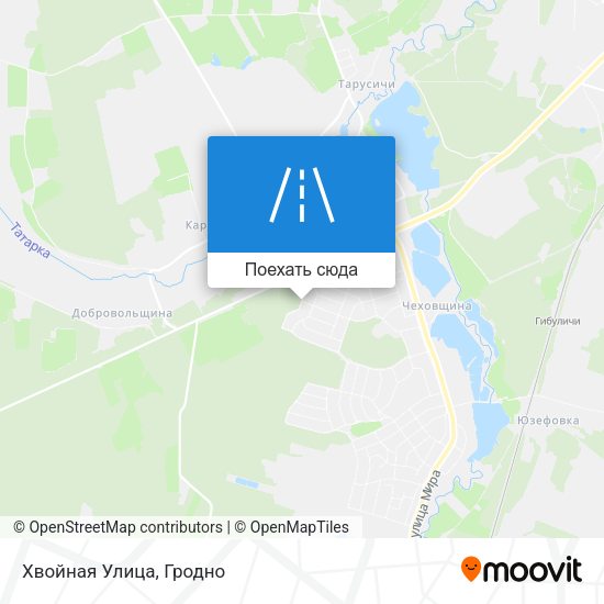 Карта Хвойная Улица
