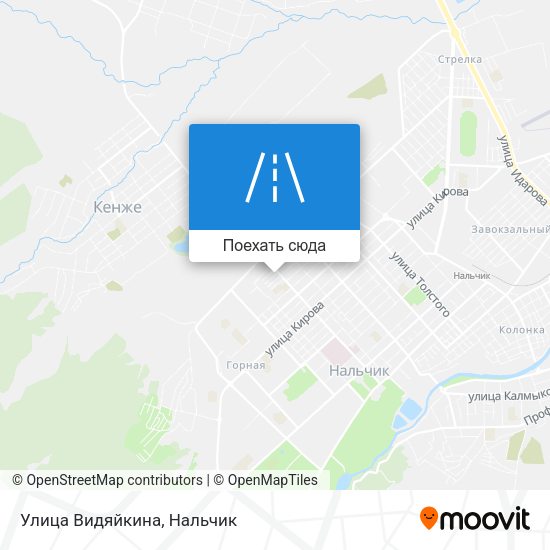 Карта Улица Видяйкина
