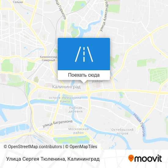 Карта Улица Сергея Тюленина