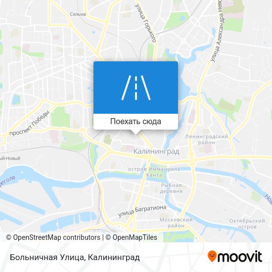 Карта Больничная Улица