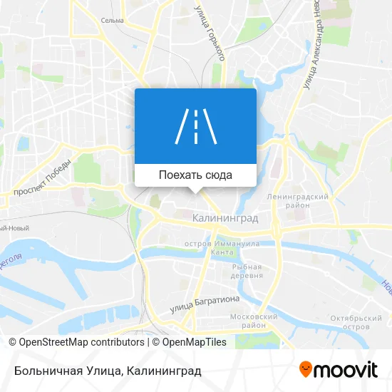 Карта Больничная Улица