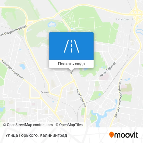 Карта Улица Горького