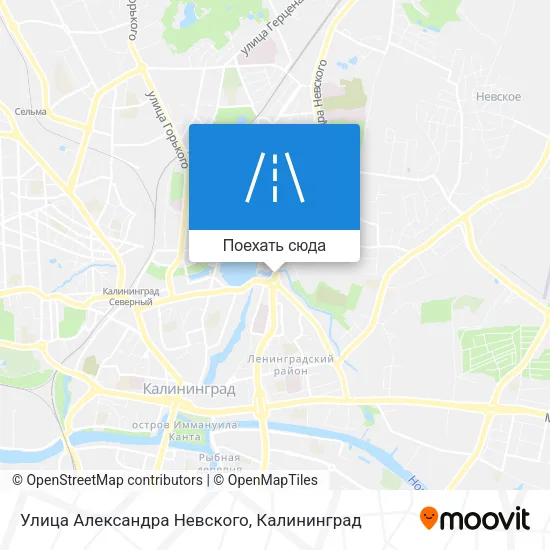 Карта Улица Александра Невского