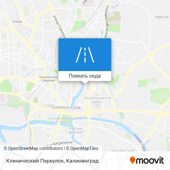 Карта Клинический Переулок