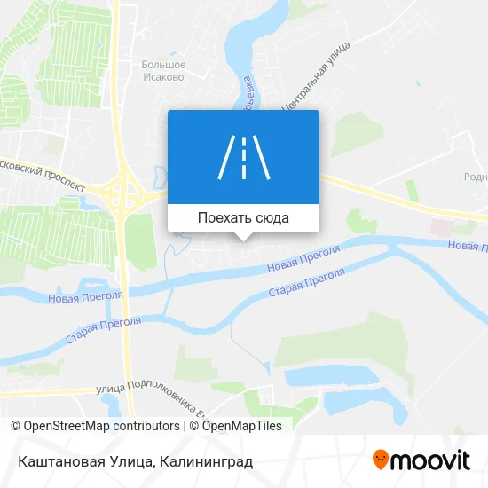 Карта Каштановая Улица