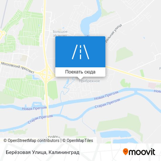 Карта Берёзовая Улица