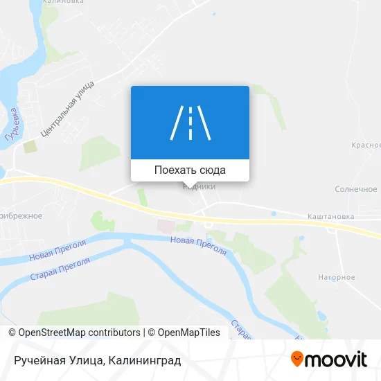 Карта Ручейная Улица
