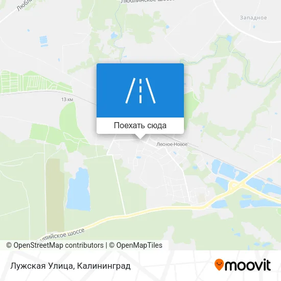 Карта Лужская Улица