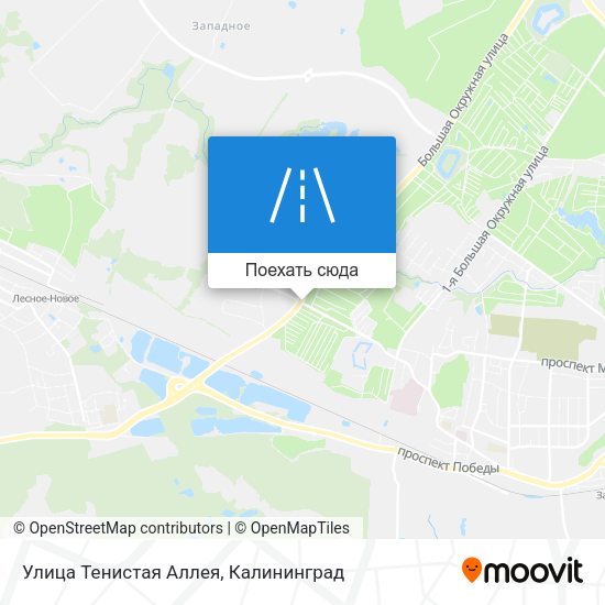 Карта Улица Тенистая Аллея