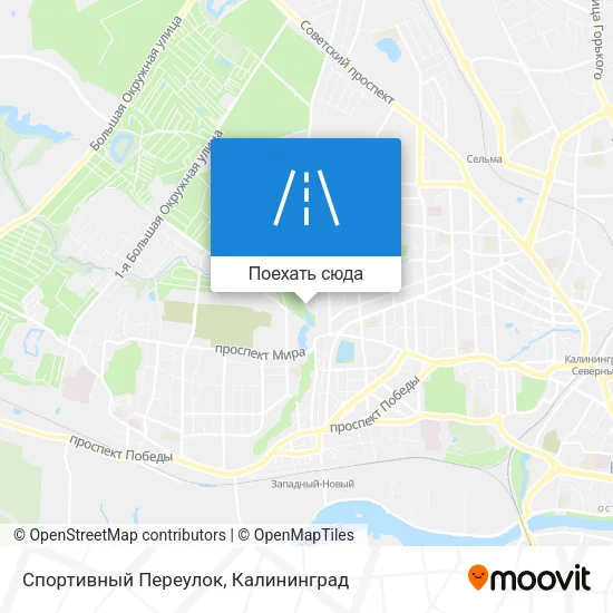 Карта Спортивный Переулок