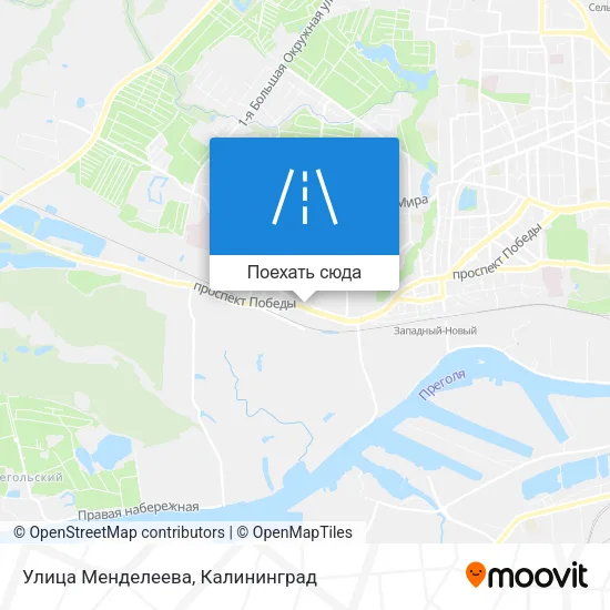 Карта Улица Менделеева