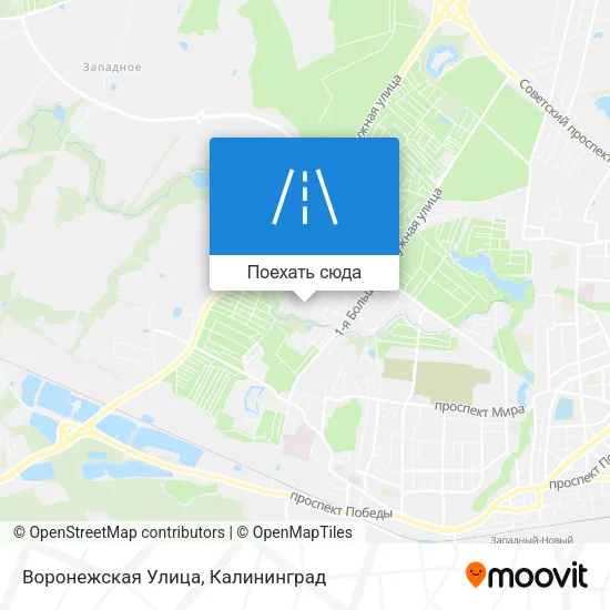 Карта Воронежская Улица