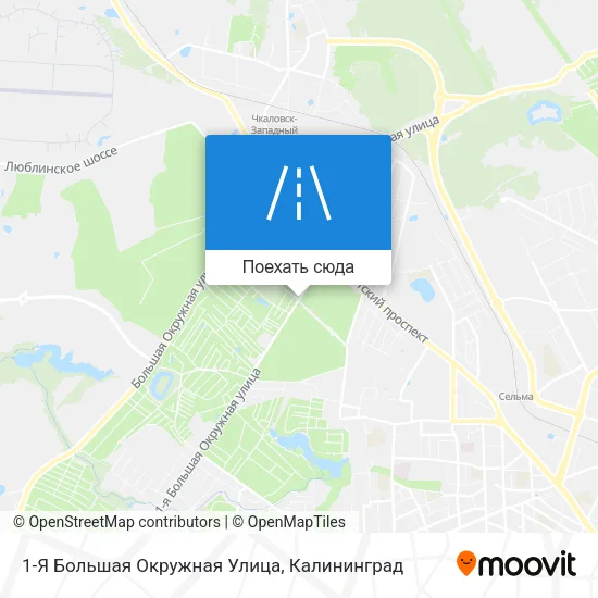 Карта 1-Я Большая Окружная Улица