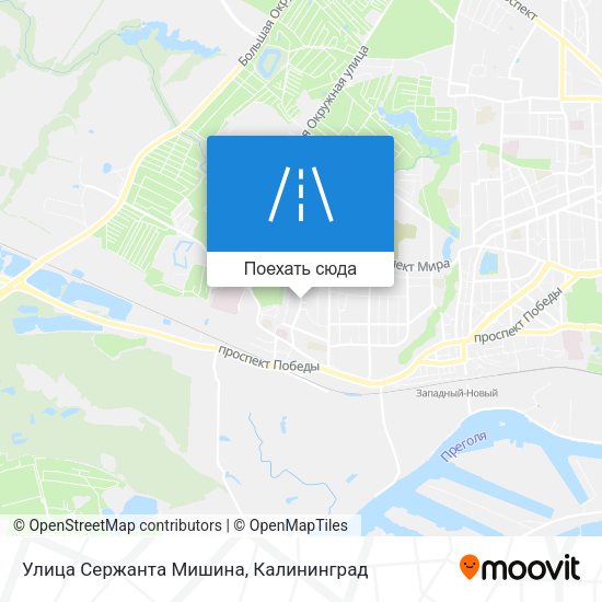 Карта Улица Сержанта Мишина