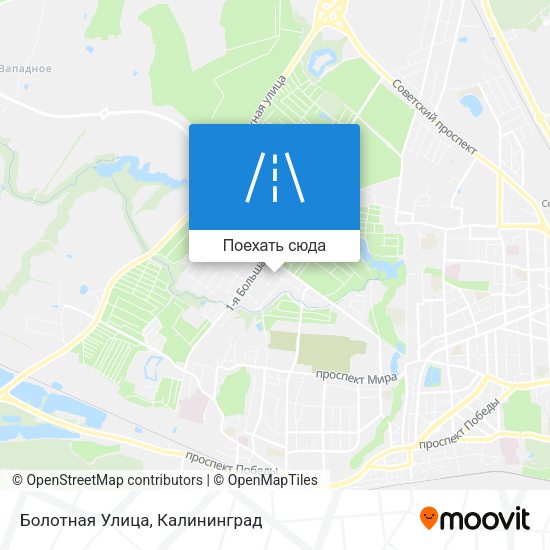Карта Болотная Улица