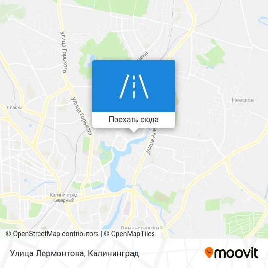 Карта Улица Лермонтова