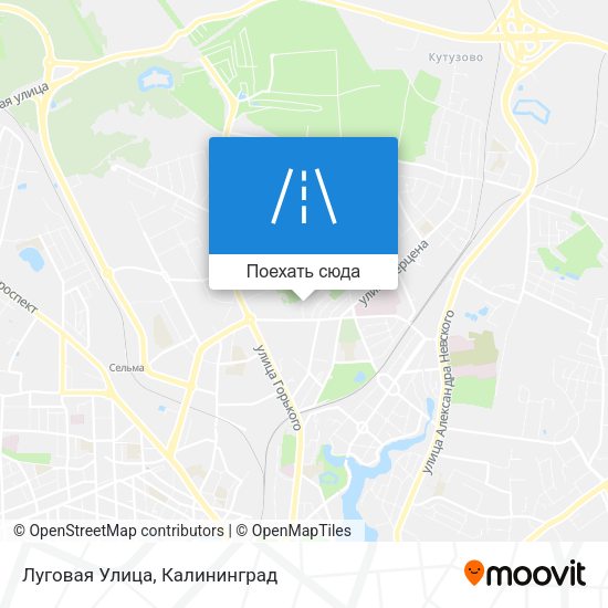 Карта Луговая Улица