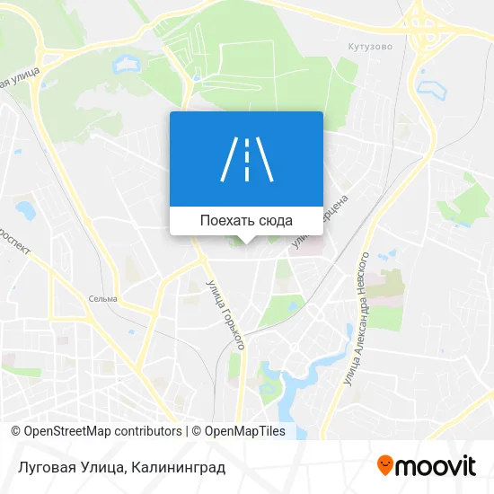 Карта Луговая Улица