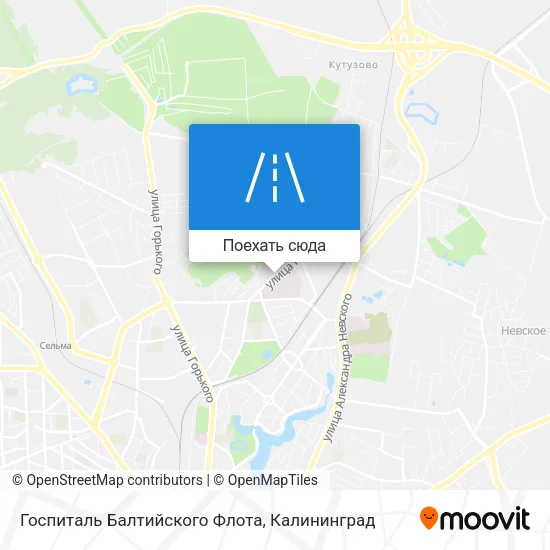 Карта Госпиталь Балтийского Флота