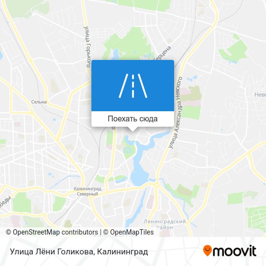 Карта Улица Лёни Голикова